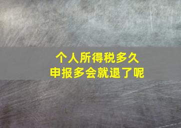 个人所得税多久申报多会就退了呢