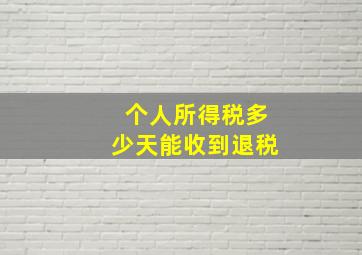 个人所得税多少天能收到退税