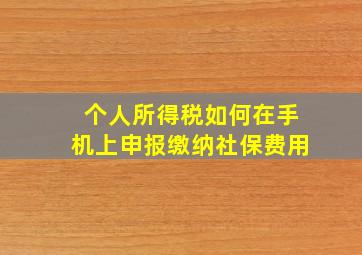 个人所得税如何在手机上申报缴纳社保费用