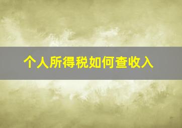 个人所得税如何查收入