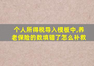 个人所得税导入模板中,养老保险的数填错了怎么补救