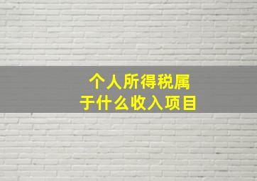 个人所得税属于什么收入项目