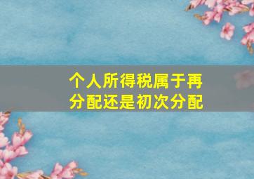 个人所得税属于再分配还是初次分配