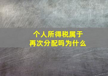 个人所得税属于再次分配吗为什么