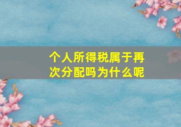 个人所得税属于再次分配吗为什么呢