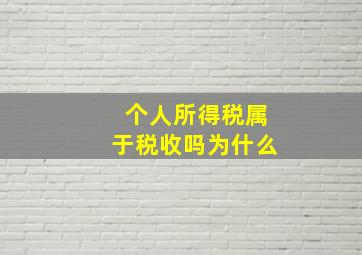 个人所得税属于税收吗为什么