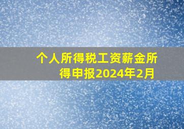 个人所得税工资薪金所得申报2024年2月