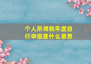 个人所得税年度自行申报是什么意思