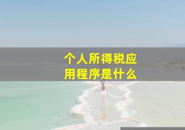 个人所得税应用程序是什么