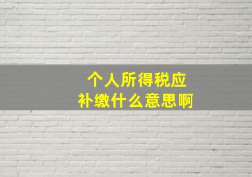 个人所得税应补缴什么意思啊