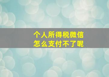 个人所得税微信怎么支付不了呢