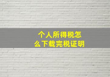 个人所得税怎么下载完税证明