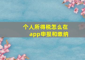 个人所得税怎么在app申报和缴纳