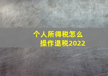 个人所得税怎么操作退税2022