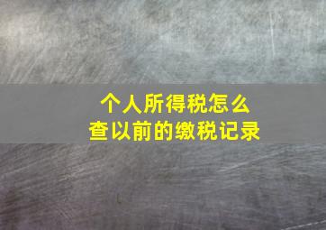 个人所得税怎么查以前的缴税记录