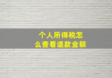 个人所得税怎么查看退款金额