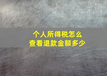 个人所得税怎么查看退款金额多少