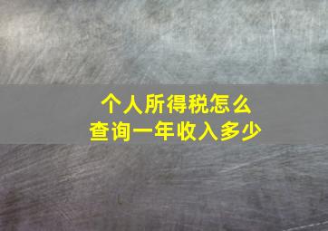 个人所得税怎么查询一年收入多少