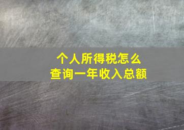 个人所得税怎么查询一年收入总额