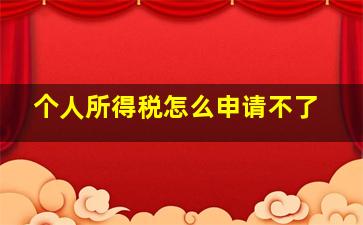 个人所得税怎么申请不了