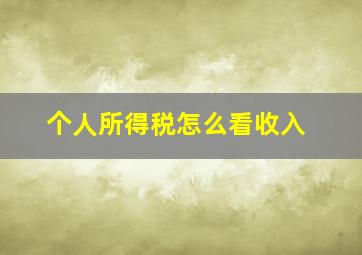 个人所得税怎么看收入