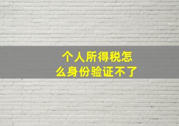 个人所得税怎么身份验证不了