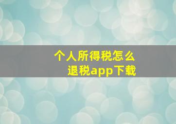 个人所得税怎么退税app下载