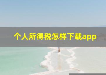 个人所得税怎样下载app