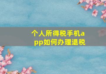 个人所得税手机app如何办理退税