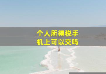 个人所得税手机上可以交吗