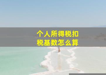 个人所得税扣税基数怎么算