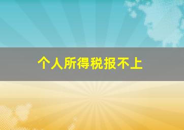 个人所得税报不上