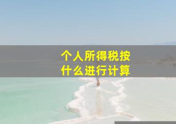 个人所得税按什么进行计算