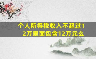 个人所得税收入不超过12万里面包含12万元么