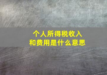 个人所得税收入和费用是什么意思