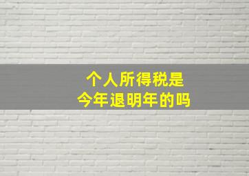 个人所得税是今年退明年的吗