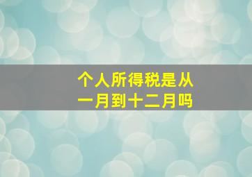 个人所得税是从一月到十二月吗