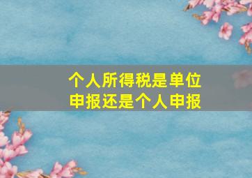 个人所得税是单位申报还是个人申报