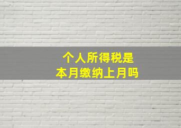 个人所得税是本月缴纳上月吗