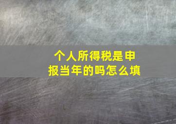 个人所得税是申报当年的吗怎么填