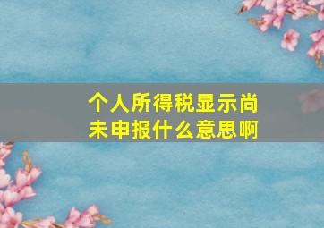 个人所得税显示尚未申报什么意思啊