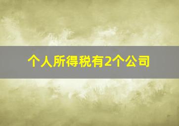 个人所得税有2个公司