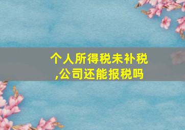 个人所得税未补税,公司还能报税吗