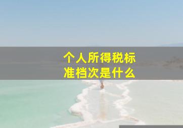 个人所得税标准档次是什么