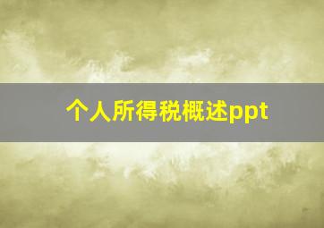 个人所得税概述ppt