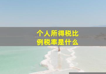 个人所得税比例税率是什么