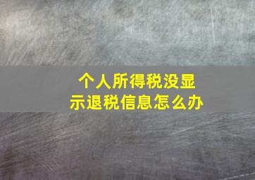 个人所得税没显示退税信息怎么办