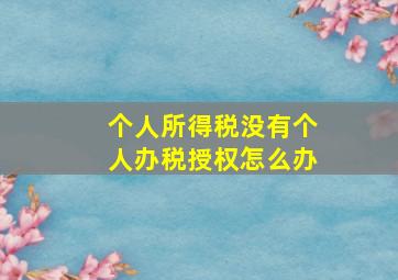 个人所得税没有个人办税授权怎么办