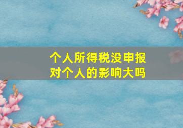 个人所得税没申报对个人的影响大吗