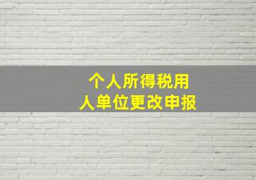 个人所得税用人单位更改申报